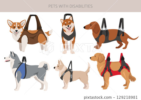 Disabled dog clipart. Dogs in a sling bag 129218981