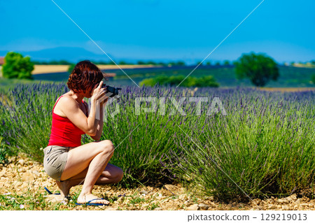 Woman take photo on lavender field, Provence France 129219013