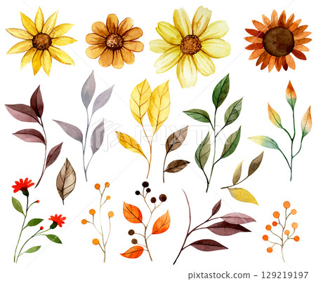 Watercolor set of autumn flowers and leaves, yellow and orange 129219197