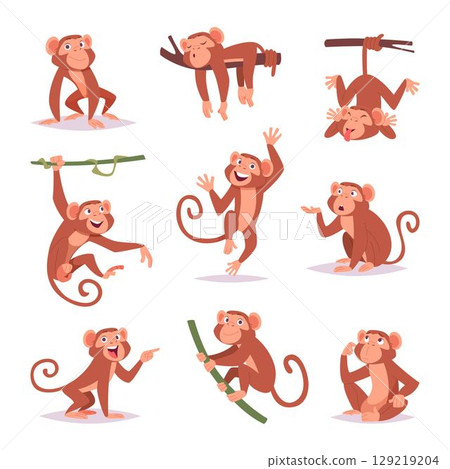 Monkey. Little funny animals wild monkey playing exact vector cartoon template 129219204