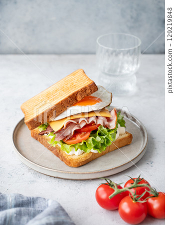 Toast club sandwich with egg, bacon, cheese, tomatoes, lettuce, arugula and sauce in a plate Toast club sandwich with egg, bacon, cheese, tomatoes, lettuce, arugula and sauce in a plate 129219848