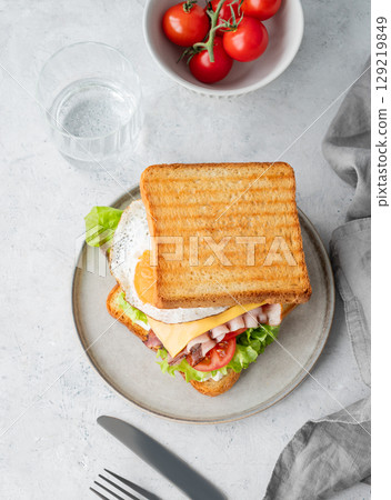 Toast club sandwich with egg, bacon, cheese, tomatoes, lettuce and sauce in a plate  129219849