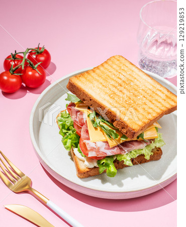 Club sandwich of toast bread with bacon, cheese, tomatoes, lettuce, arugula and sauce in a plate Club sandwich of toast bread with bacon, cheese, tomatoes, lettuce, arugula and sauce in a plate 129219853