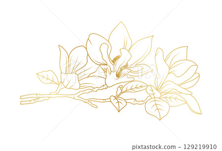 Golden magnolia flowers line art isolated on white background. Luxury magnolia floral design elements for invitation, wedding, wallpaper, print template, vector illustration 129219910