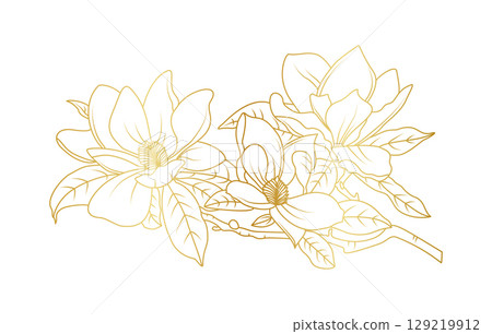 Golden magnolia flowers line art isolated on white background. Luxury magnolia floral design elements for invitation, wedding, wallpaper, print template, vector illustration 129219912