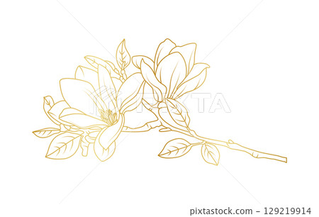 Golden magnolia flowers line art isolated on white background. Luxury magnolia floral design elements for invitation, wedding, wallpaper, print template, vector illustration 129219914