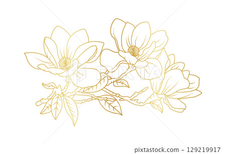 Golden magnolia flowers line art isolated on white background. Luxury magnolia floral design elements for invitation, wedding, wallpaper, print template, vector illustration 129219917