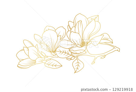 Golden magnolia flowers line art isolated on white background. Luxury magnolia floral design elements for invitation, wedding, wallpaper, print template, vector illustration Golden magnolia flowers line art isolated on white background. Luxury magnolia floral design elements for invitation, wedding, wallpaper, print template, vector illustration 129219918