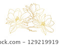 Golden magnolia flowers line art isolated on white background. Luxury magnolia floral design elements for invitation, wedding, wallpaper, print template, vector illustration 129219919