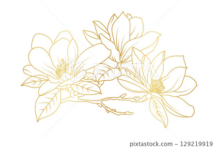 Golden magnolia flowers line art isolated on white background. Luxury magnolia floral design elements for invitation, wedding, wallpaper, print template, vector illustration Golden magnolia flowers line art isolated on white background. Luxury magnolia floral design elements for invitation, wedding, wallpaper, print template, vector illustration 129219919