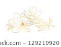 Golden magnolia flowers line art isolated on white background. Luxury magnolia floral design elements for invitation, wedding, wallpaper, print template, vector illustration 129219920