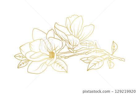 Golden magnolia flowers line art isolated on white background. Luxury magnolia floral design elements for invitation, wedding, wallpaper, print template, vector illustration Golden magnolia flowers line art isolated on white background. Luxury magnolia floral design elements for invitation, wedding, wallpaper, print template, vector illustration 129219920