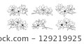 Magnolia flower arrangement line art on white background. Silhouette magnolia botanical hand drawn element for wedding, invitation frame design, vector illustration 129219925