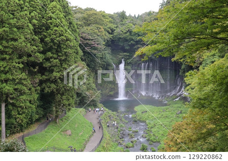 Shiraito Falls, a power spot for worshipping Mount Fuji Shiraito Falls, a power spot for worshipping Mount Fuji 129220862