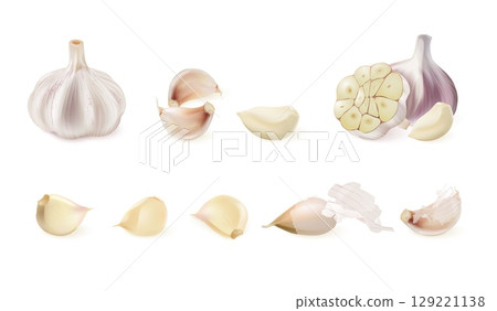 Realistic garlic. 3d isolated garlics whole peeled cloves, spicy vegetables raw onion kitchen cooking spice herbs salad food ingredient natural condiment exact vector illustration 129221138
