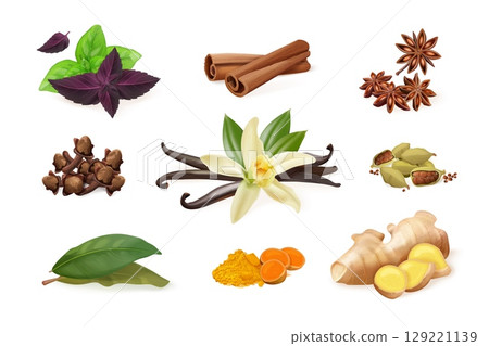 Realistic spices herbs. 3d cooking spice, ginger root clove cinnamon sticks star anise vanilla flower basil leaf kitchen herb aroma ingredients, exact isolated vector illustration 129221139