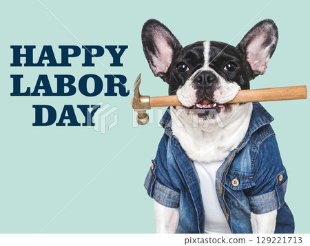 Happy Labor Day. Cute puppy and work overalls Happy Labor Day. Cute puppy and work overalls 129221713