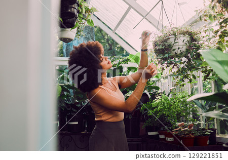 Greenhouse, plants and black woman check quality control, growth care and progress for gardening, agriculture and startup. Small business owner, eco friendly and green garden worker with a pot plant 129221851