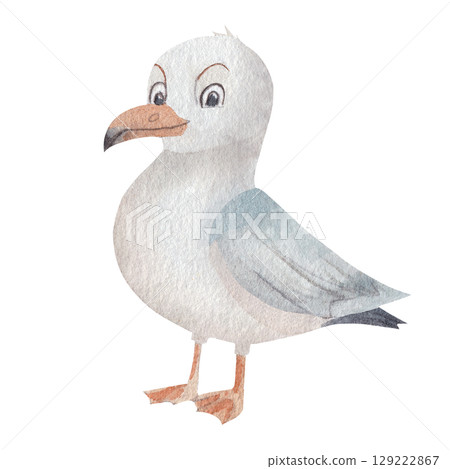 Watercolor illustration of cheerful seagull in playful, child style on white background. Perfect for nursery decor, baby products, educational materials, and kids designs 129222867