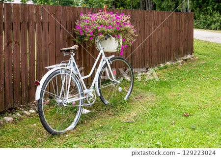 Vintage White Bicycle with Flower Basket Against Wooden Fence 129223024