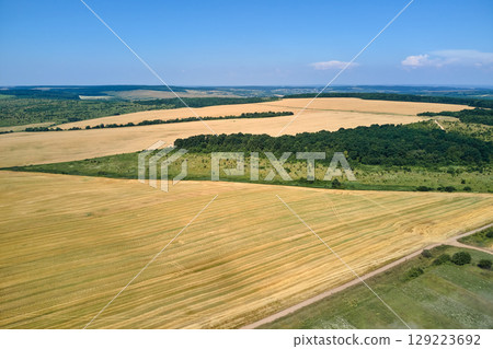 Aerial landscape view of yellow cultivated agricultural field with dry straw of cut down wheat after harvesting Aerial landscape view of yellow cultivated agricultural field with dry straw of cut down wheat after harvesting 129223692