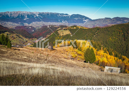 Stunning autumn scenery with colorful birch trees on the slope 129224556