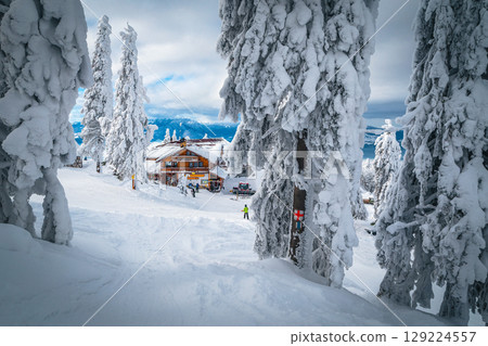 Snow covered winter scenery and skiers near fabulous wooden chalet 129224557