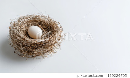 Single White Egg Resting in a Woven Bird Nest on White Background 129224705