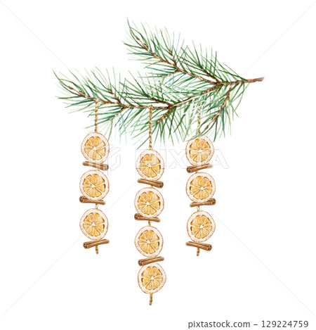 Dried oranges and cinnamon sticks hanging as Christmas decoration on a fir branch watercolor illustration isolated. Hand drawn pastel New Year clip art for creating beautiful cards and invitations. 129224759