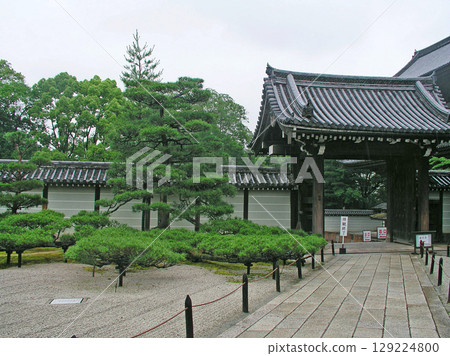 Kyoto Ninnaji Temple Imperial Palace Gardens Main Gate Creeping Pine Kyoto Ninnaji Temple Imperial Palace Gardens Main Gate Creeping Pine 129224800