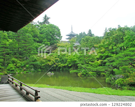 Kyoto Ninnaji Temple Imperial Palace Gardens, Tatsuden North Garden, Hitotei, Middle Gate, Five-Story Pagoda 129224802