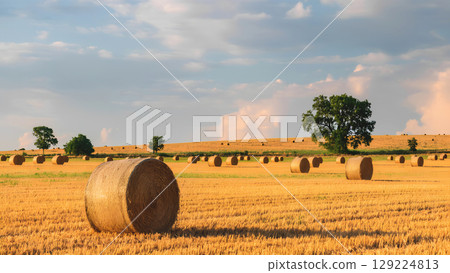 A vast rural landscape featuring a large, rectangular bale of hay in the foreground. The hay bale is golden brown and neatly stacked. 129224813