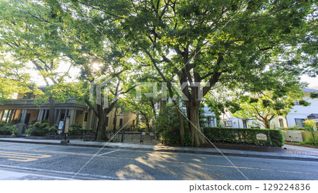 Summer at Yamate Western-style Building No. 234 129224836