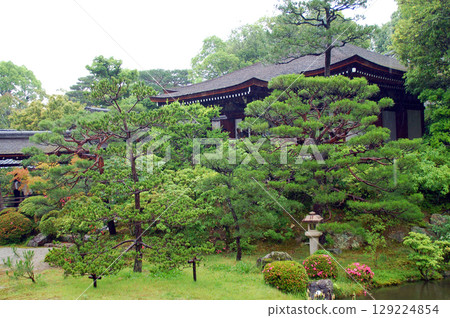 Kyoto Ninnaji Temple Imperial Palace Gardens Tatsuden North Garden Reimeiden 129224854