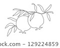 Branch with pomegranates and leaves. Modern single line art drawing. Continuous line drawing. Outline draw design vector illustration 129224859