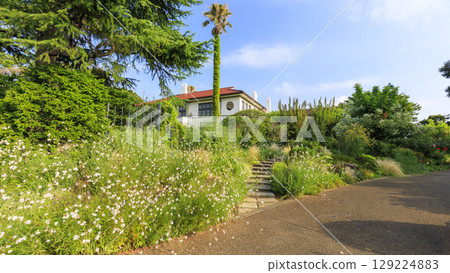 法國山地花園的夏天 129224883