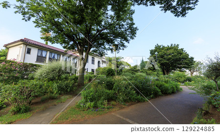 法國山地花園的夏天 129224885