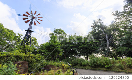 Summer at the French Mountain Garden 129224890