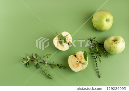 Whole and sliced apples with aromatic branches of greenery 129224995