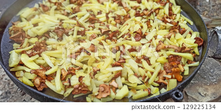 Tractor with potato harvester on the field. Process of digging potatoes close up 129225134