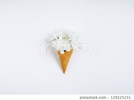 Lovely unique flower in ice cream cone on white background. Flat lay styling. 129225231