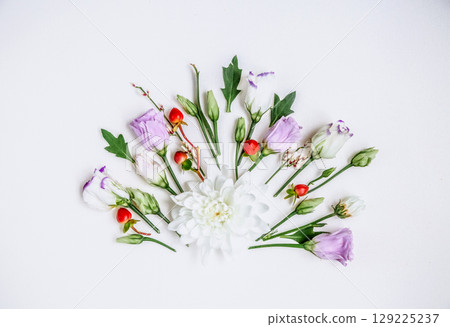 Lovely unique flower and twigs of the plant on white background. 129225237