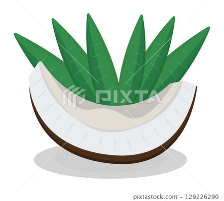 Piece of coconut and palm leaves on the background, juicy raw nut slice, vector colorful illustration 129226290