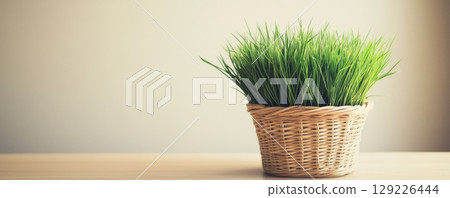 Potted plant on wooden table, natural home decor concept 129226444