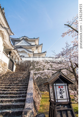 櫻花盛開的伊賀上野城（三重縣伊賀市上野公園） 129226455