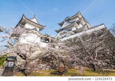 櫻花盛開的伊賀上野城（三重縣伊賀市上野公園） 129226472