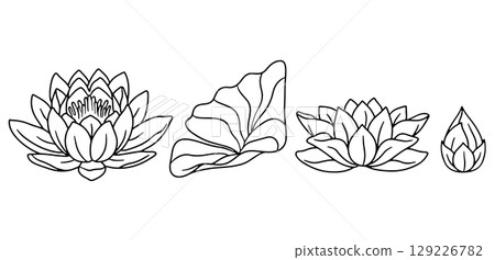 Hand drawn black and white lotus flowers line art vector illustrations set isolated on white background Hand drawn black and white lotus flowers line art vector illustrations set isolated on white background 129226782