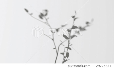 Abstract shadow branch on wind background Abstract shadow branch on wind background 129226845