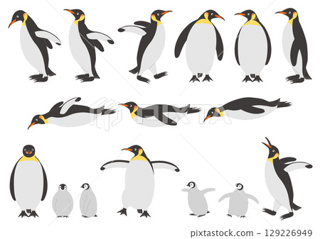 A set of illustrations of emperor penguins in various poses 129226949