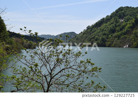Arasawa Dam Largest in the prefecture 129227725